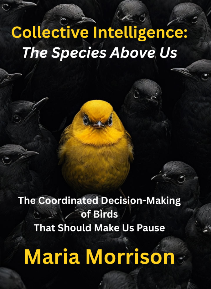 Collective Intelligence